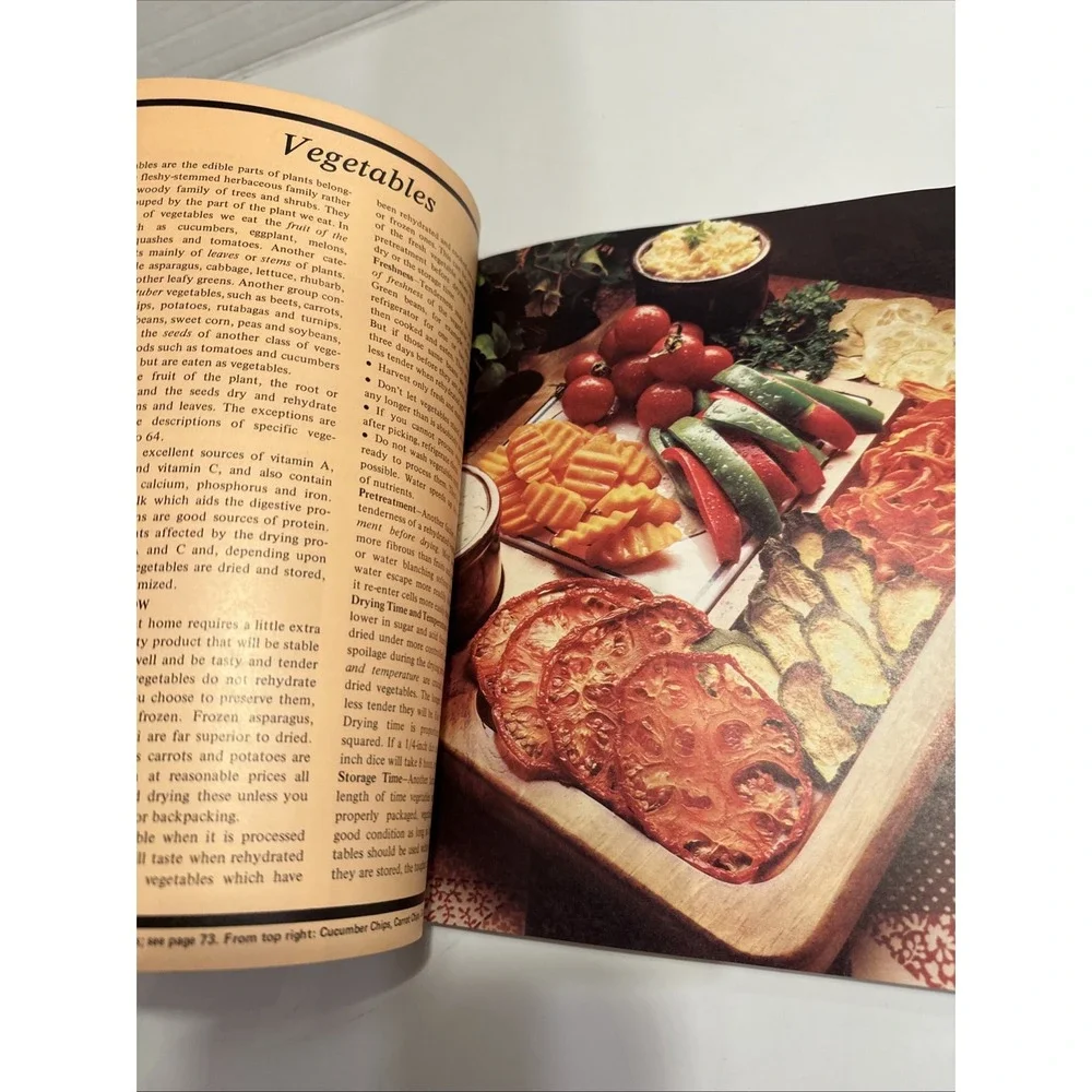 How To Dry Foods by Deanna DeLong (1979 First‎ Edition) Paperback